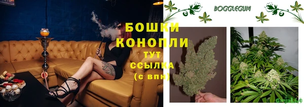 прущие крисы Гусь-Хрустальный
